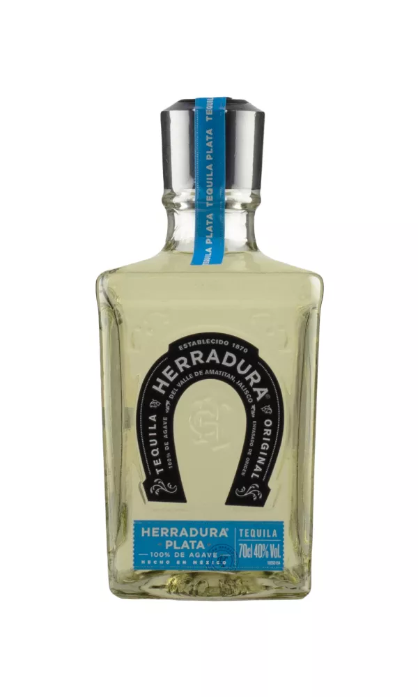 TOP4093.webp Herradura Plata