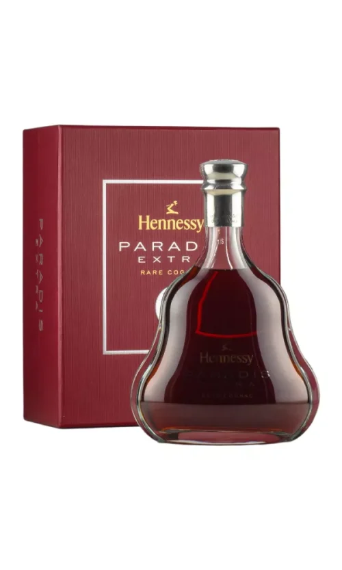 Hennessy Paradis (Old Presentation)
