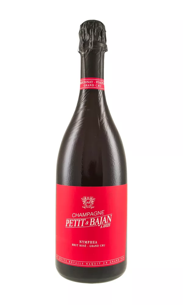 TOP62387.webp Petit et Bajan Nymphea
