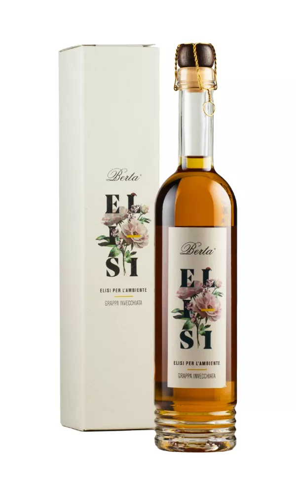 TOP6608.webp Berta Elisi