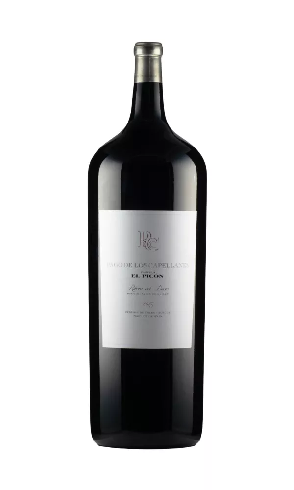 TOP66953.webp El Picon Pago de los Capellanes 1800cl 2015