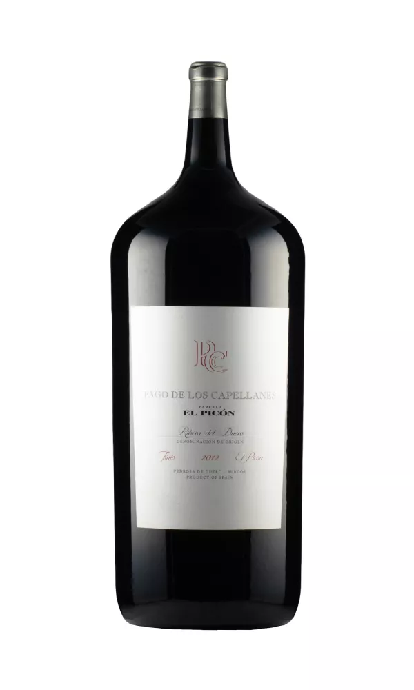 TOP70855.webp El Picon Pago de los Capellanes 2700cl 2012
