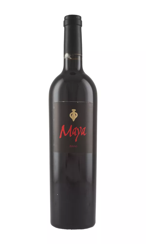 Dalla Valle Maya 2000