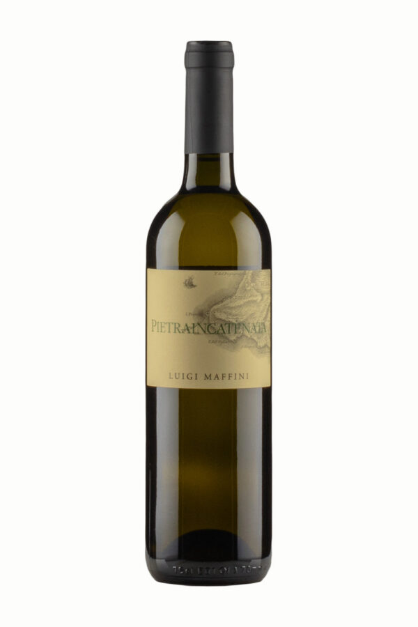 Pietraincatenata Fiano 2023 Pietraincatenata Fiano 2023