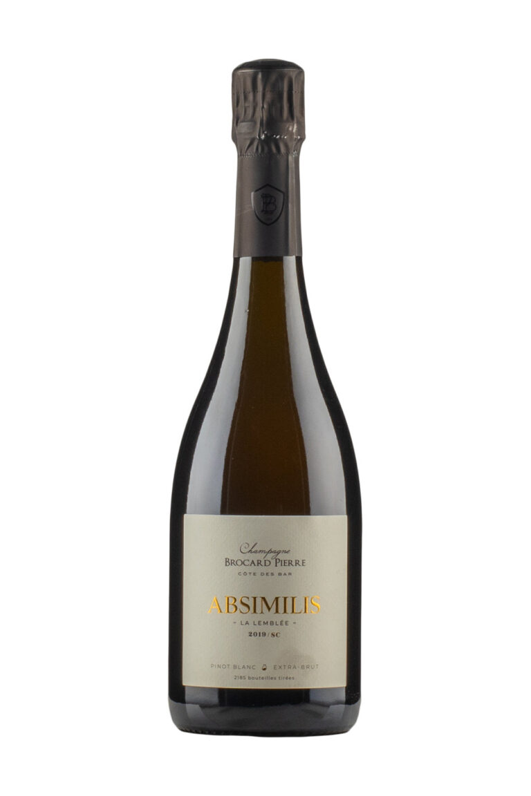 Thibaud Brocard Absimilis 2019