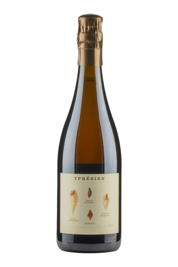 Ypresien Legrand Latour Ypresien Legrand Latour