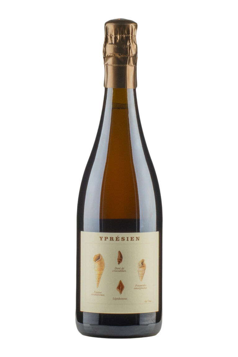 Ypresien Legrand Latour Ypresien Legrand Latour
