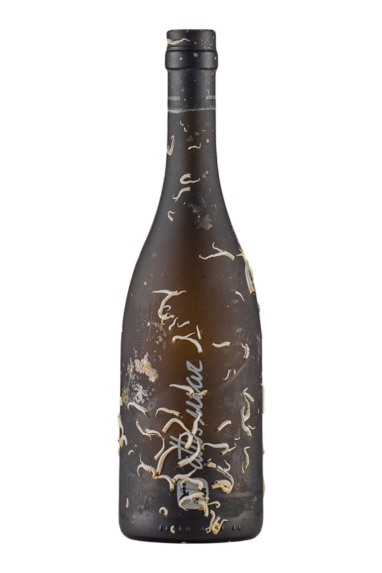 Albarino Attis Mar 2024 Albarino Attis Mar 2024