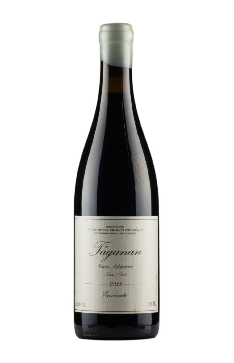 Envinate Taganan Tinto 2022 Envinate Taganan Tinto 2022