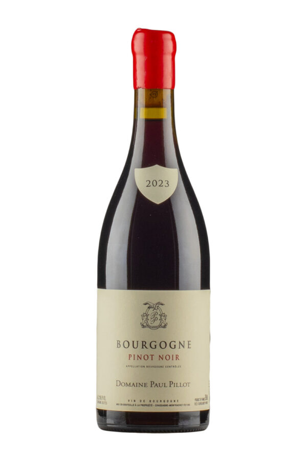 Bourgogne Pinot Noir Paul Pillot 2023 Bourgogne Pinot Noir Paul Pillot 2023