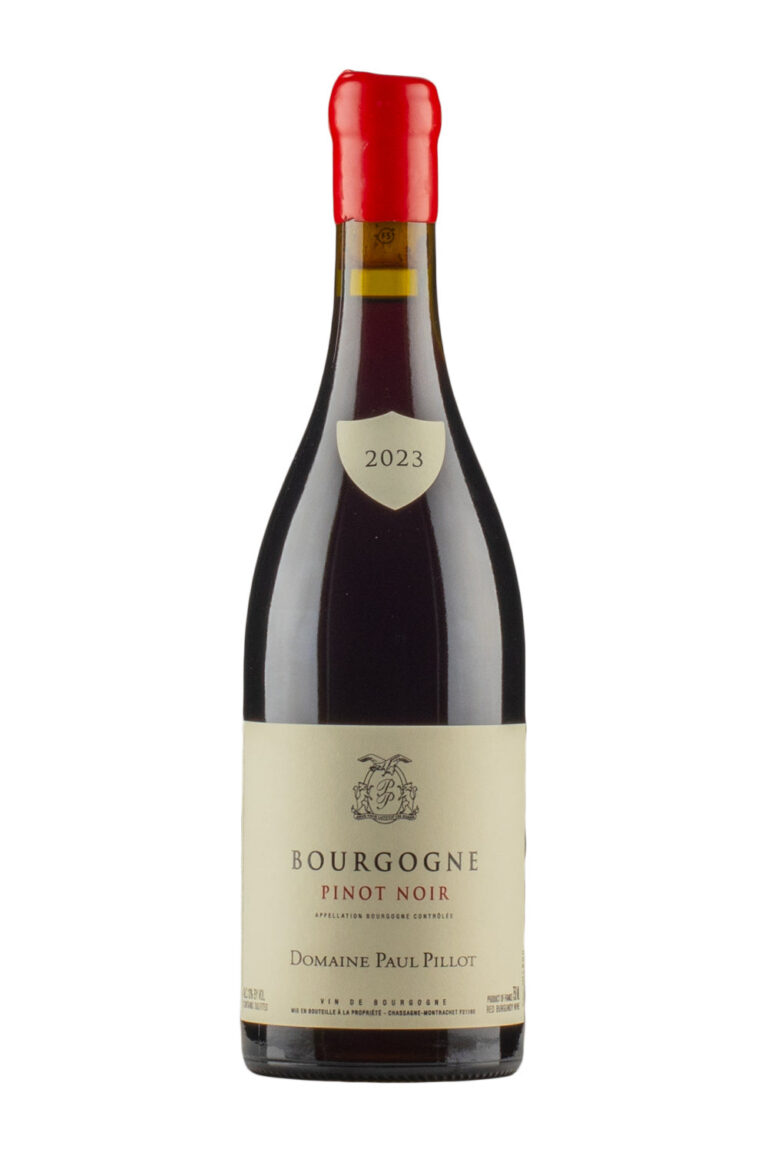 Bourgogne Pinot Noir Paul Pillot 2023 Bourgogne Pinot Noir Paul Pillot 2023
