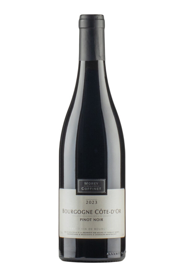 Bourgogne Pinot Noir Morey Coffinet 2023 Bourgogne Pinot Noir Morey Coffinet 2023