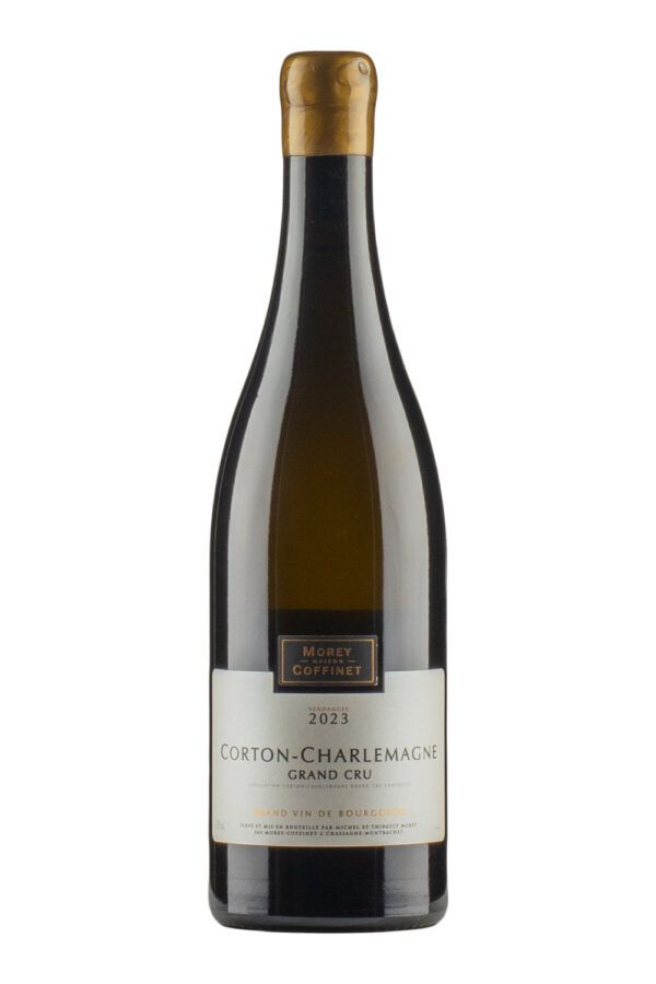 Corton Charlemagne Morey Coffinet 2023 Corton Charlemagne Morey Coffinet 2023
