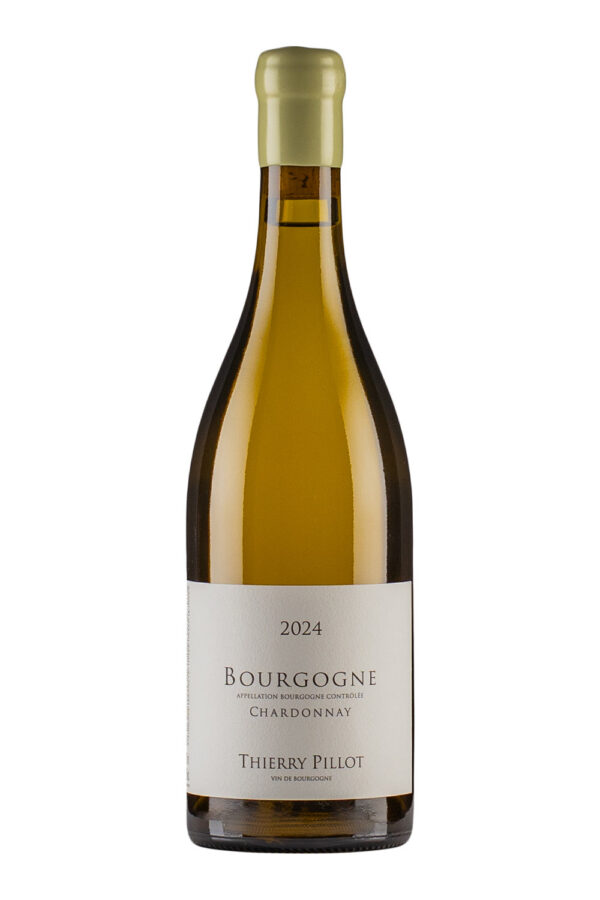 Bourgogne Chardonnay Thierry Pillot 2024 Bourgogne Chardonnay Thierry Pillot 2024