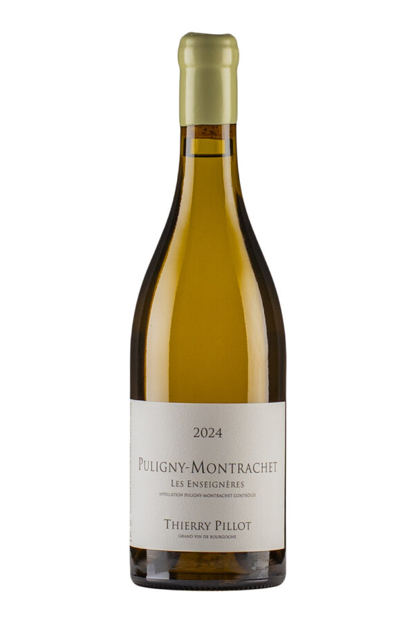 Puligny Montrachet Les Enseigneres Thierry Pillot 2024