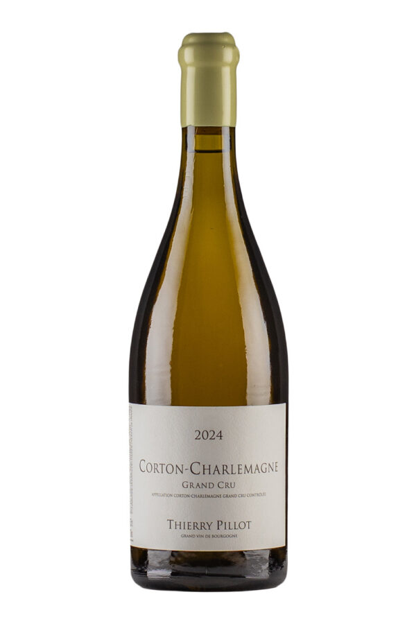 Corton Charlemagne Thierry Pillot 2024 Corton Charlemagne Thierry Pillot 2024
