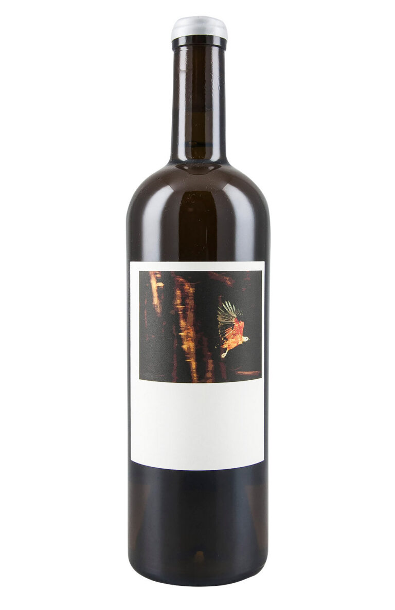 Sine Qua Non Tectumque 2017 Sine Qua Non Tectumque 2017