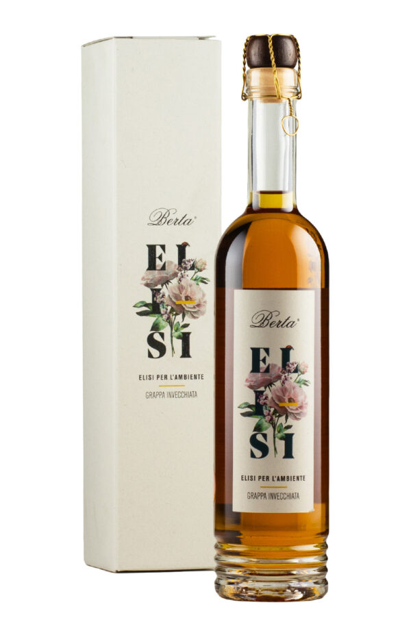 Berta Elisi Berta Elisi