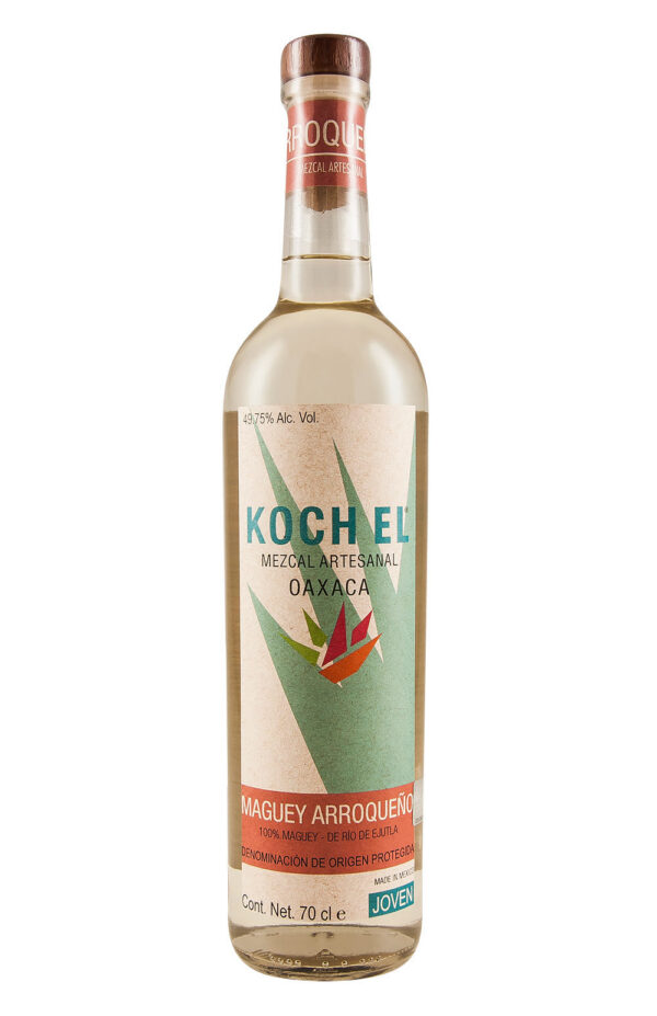 Koch Arroqueno