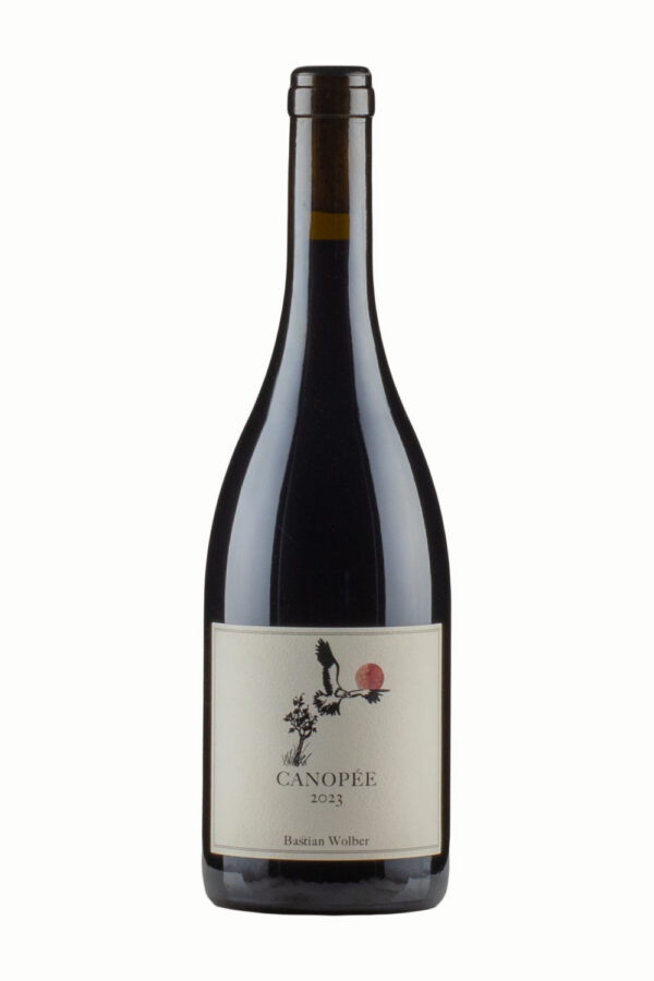 Coteaux Bourguignons Canope Laisse Tomber Bastian Wolber 2023 Coteaux Bourguignons Canope Laisse Tomber Bastian Wolber 2023